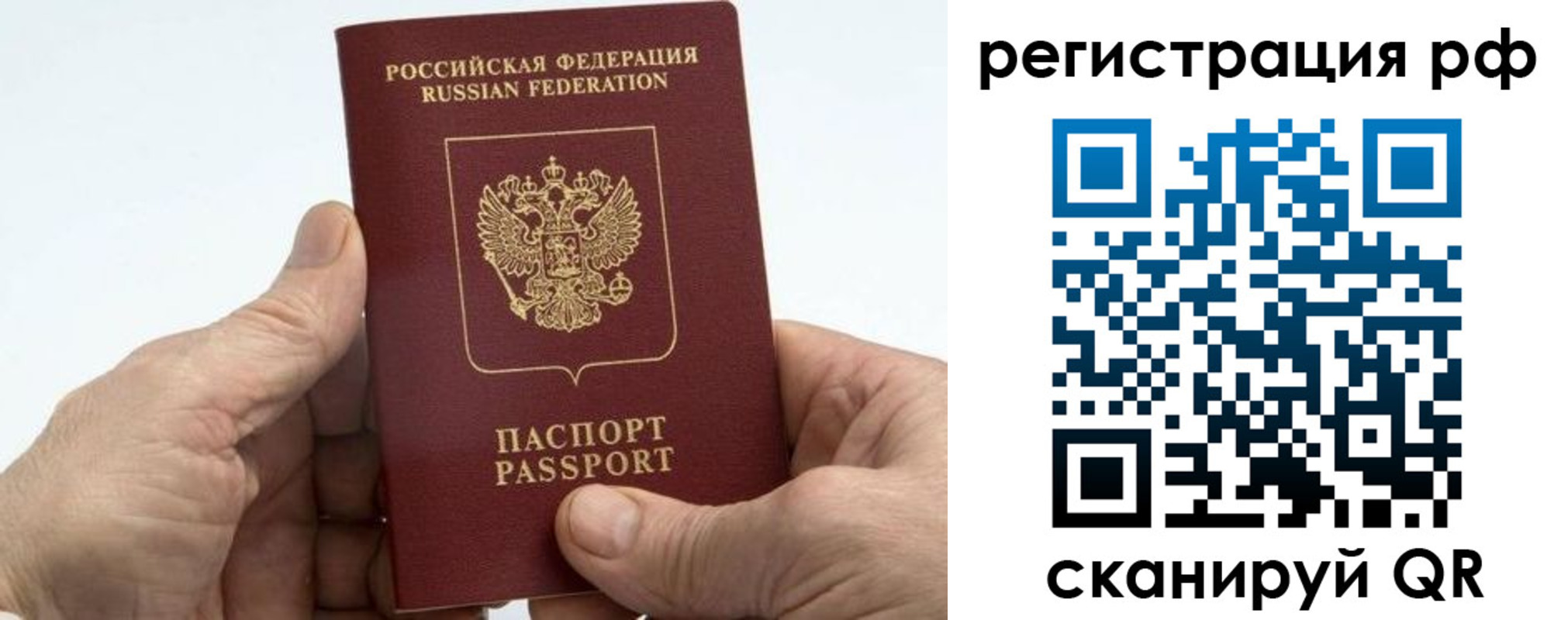 прописка в квартире в Курске